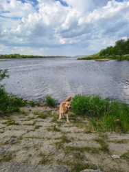 a089c4ec-e6ef-4045-bf82-30c585483f35