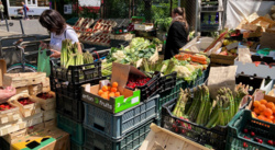 Miasta i gminy kluczowymi rynkami dla lokalnych rolników – nowe wyzwania i plany - Echo Polski • portal informacyjny, wiadomości, newsy,