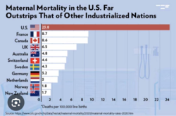 d99e8b5b-b51e-4e1d-829b-509abb894d5d