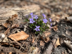 3b67a8aa-1953-4804-a25a-2b2e2ce73a6f