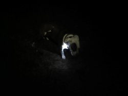 8bd69771-9675-4b52-9a9f-f57dd5aa05bc