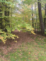 5bd47f7b-36dd-4f95-bc60-d17c013e7a96