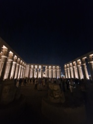 acd27efd-c284-4ff4-b9e6-76a102aa5749