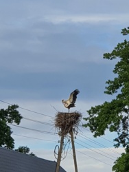 cbe919dc-1e9e-4d77-9fb2-71dafa17c83b