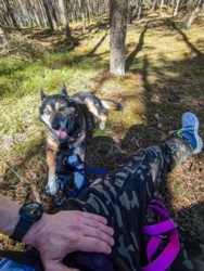 4f6d0d61-7573-4d71-ab2f-9a44e7e512d7