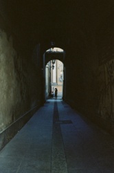 1d3b3b07-7c34-42a8-a278-4d20d4cf4591