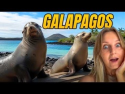 Tu rządzą zwierzęta, człowiek jest na drugim planie - Galapagos