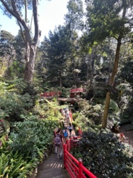 a7a0aab1-d375-4f69-b4a6-e8ecacee1da1