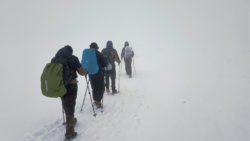 a43d528b-6884-49f9-9c6c-1d2a5a07d125