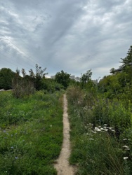 ac144ac6-2063-4c08-9168-59d9439e407d