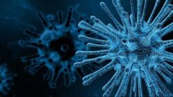 Badania pokazują, że 25 tysięcy lat temu też walczyliśmy z pandemią koronawirusa