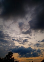 6186bfd0-99ad-4c2a-9cd0-23dfd2bcd84e