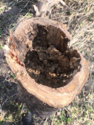 af0acb37-6b6e-42dd-89b3-a3785408b7be