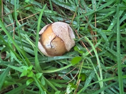 9e9d2fc5-c7a1-4b77-860d-f95ec092f5e5