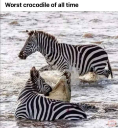 f2f08cfd-93a3-4d1f-a8d6-5e70506691b1