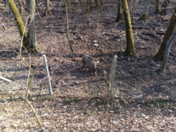 bf9b136a-b610-4ef9-8af8-b1e2852a6abe