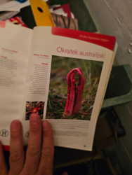 be1240ff-a51f-42ce-9136-6c038bfb6484