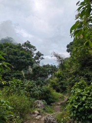 738bbbe5-6d13-4a99-b7cb-1d5daaffd849