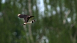 e70aee91-8437-4b4e-8168-852d1b89f3c6