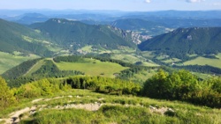 1789cff5-9e75-4ce0-930e-b5d46ec12e14