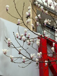 7c39c408-2b76-4148-bb54-a8afae29556e