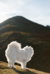 c9adcaaf-333b-43e3-9bc1-6fbb62eeb97c