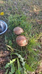 9e2e446b-e9c1-45b3-87fe-7e90217c6cd8