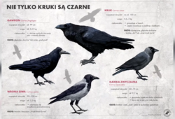 91fb2d07-25dc-428e-a1a0-101304495f27