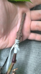 26359593-72bc-461c-b111-25212692dc56