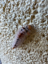 f722e8fb-34ee-4136-a160-b198f2277842