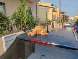 7661c400-5118-4d6d-aa0a-663c163ba2be