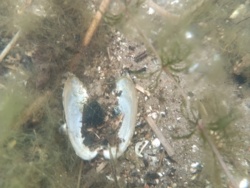 84b7e856-a959-4852-a3d3-5366a4fbe8e3