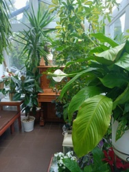 25119037-b530-49ee-815b-a04484718643