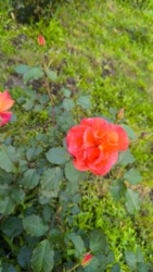 370b187e-af6a-4ad8-a926-1b5daf498eee