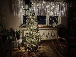 1ea5ea4e-9aa2-43aa-a91f-8ac5ec53ffb9