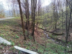 2ddf8fbf-bca5-4aa6-a065-c20035027d48