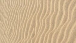 Będziemy recyklingować piasek na całym świecie. Po co? Bo się kończy