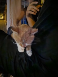 adfd97c7-9d9b-407e-a305-c9d0d19328f1