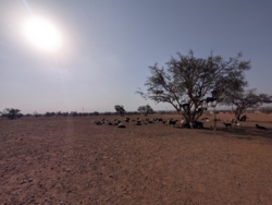 a4cc926d-dc29-4415-b381-c056635610bc