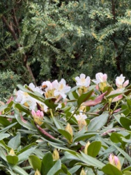 dc4d6248-417b-43c8-b498-db2ebf00ad5b