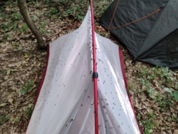 e31c8110-4ecd-4e8b-9b99-8a6b174fe20b