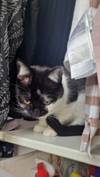 d364b7d8-c24d-44f4-b3b2-fffcc4425ee8