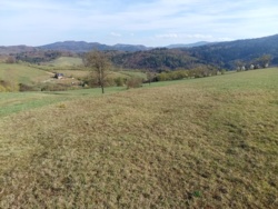 026cd091-eb8a-4254-9d57-474636c743ea