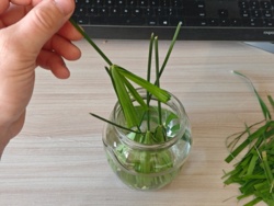 20095434-82ce-496b-abf1-dcf0b33fd031