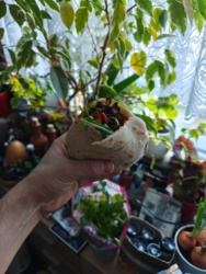 4fac4003-ce1c-460a-80c7-ba3cf9692786