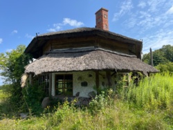 10c5b497-b1d2-462c-a920-4cf06ec7fafa