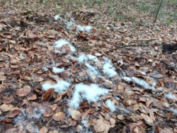 c7f55b8a-433b-4e7e-89a3-a6d914a9b2f8