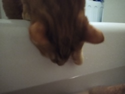 c7dbb7fd-ba99-4494-ad07-896a14311b6c