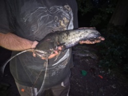 2863bfb5-0ef3-40ac-8e90-7a275ed34c05