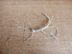 fa8b7b0c-6cb3-49a8-a48b-28d8500732d9